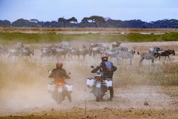 2023-Ducati-Multistrada-V4-Rally-151